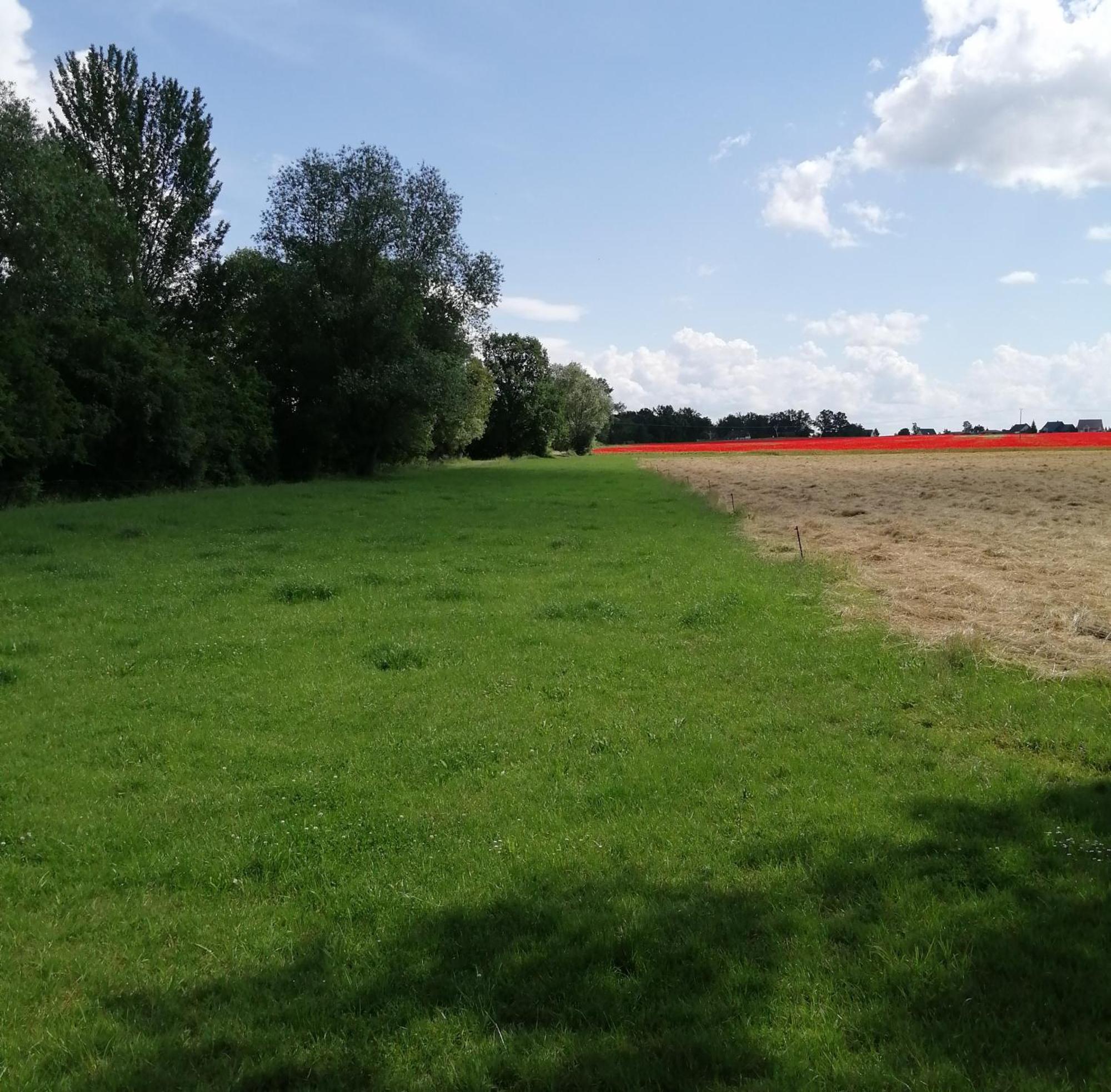 Ferienwohnung Moni Kitzscher Екстер'єр фото